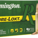 REMINGTON 300 RUM 180GR – CORE-LOKT PSP 20RD 10BX/CS