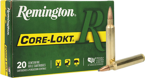 REMINGTON 300 RUM 180GR – CORE-LOKT PSP 20RD 10BX/CS