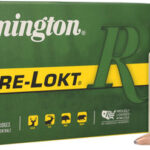 REMINGTON 300 WBY MAGNUM 180GR – CORE-LOKT PSP 20RD 10BX/CS