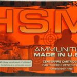 HSM 300 AAC 220GR SUBSONIC – BTHP 20RD 25BX/CS