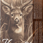 BARNES HARVEST 243 WIN 90GR – TIPPED GAMEKING 20RD 10BX/CS