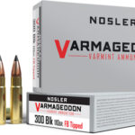 NOSLER VARMAGEDDON 300 AAC – 110GR FBT 20RD 10BX/CS