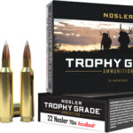 NOSLER TROPHY GRADE 22CM – 70GR ACCU TIP 20RD 10BX/CS