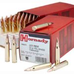 HORNADY 223 REM 55GR FMJ – 50RD 10BX/CS