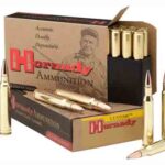 HORNADY 405 WIN 300GR SP – 20RD 6BX/CS