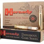 HORNADY 416 RUGER 400GR DGS – 20RD 6BX/CS