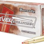 HORNADY LEVEREVOLUTION 348 WIN – 200GR FTX 20RD 10BX/CS