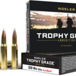 NOSLER TROPHY GRADE 308 WIN – 150GR ACCUBOND 20RD 10BX/CS