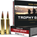 NOSLER TROPHY GRADE LR 28 – NOSLER 175GR ABLR 20RD 10BX/CS