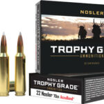 NOSLER TROPHY GRADE 22 NOSLER – 70GR ACCUBOND TIP 20RD 10BX/CS