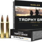 NOSLER TROPHY 300 WIN MAG – 180GR PARTITION 20RD 10BX/CS