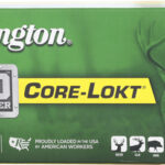 REMINGTON 360 BUCKHAMMER 200GR – CORE-LOKT SP 20RD 10BX/CS