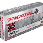 WINCHESTER SUPER-X 243 WSSM – 100GR POWER POINT 20RD 10BX/CS