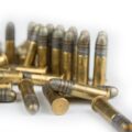 .22 LR rimfire cartridges on a white background